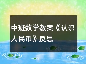中班数学教案《认识人民币》反思