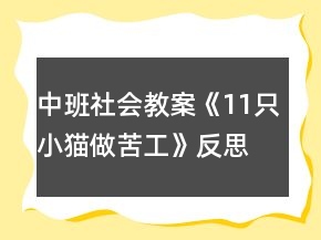 中班社会教案《11只小猫做苦工》反思