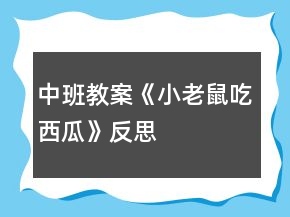 中班教案《小老鼠吃西瓜》反思