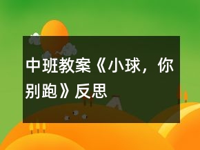 中班教案《小球，你别跑》反思