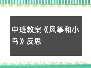 中班教案《风筝和小鸟》反思