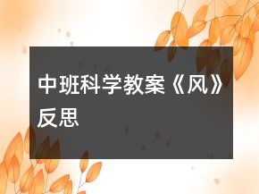中班科学教案《风》反思