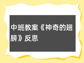 中班教案《神奇的翅膀》反思