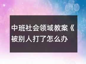 中班社会领域教案《被别人打了怎么办》反思
