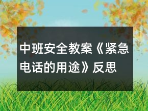 中班安全教案《紧急电话的用途》反思
