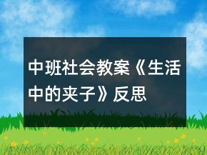 中班社会教案《生活中的夹子》反思