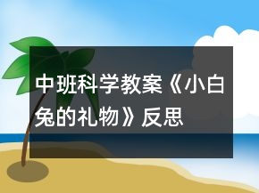 中班科学教案《小白兔的礼物》反思