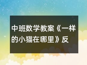 中班数学教案《一样的小猫在哪里》反思
