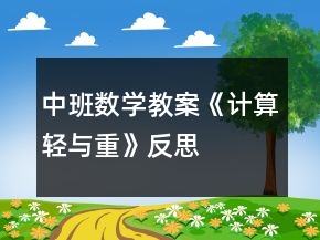 中班数学教案《计算：轻与重》反思