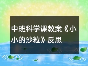 中班科学课教案《小小的沙粒》反思