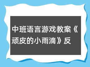 中班语言游戏教案《顽皮的小雨滴》反思