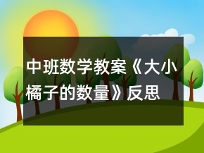 中班数学教案《大小橘子的数量》反思