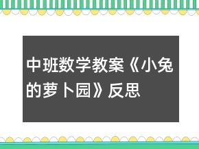 中班数学教案《小兔的萝卜园》反思