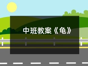 中班教案《龟》