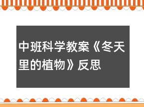 中班科学教案《冬天里的植物》反思