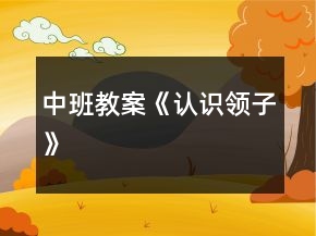 中班教案《认识领子》