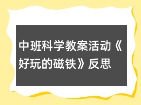 中班科学教案活动《好玩的磁铁》反思