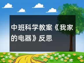 中班科学教案《我家的电器》反思