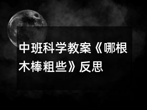 中班科学教案《哪根木棒粗些》反思