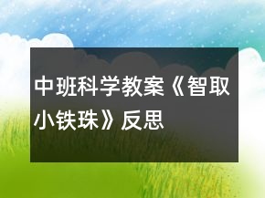 中班科学教案《智取小铁珠》反思