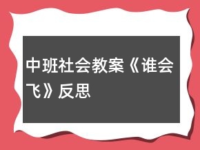 中班社会教案《谁会飞》反思