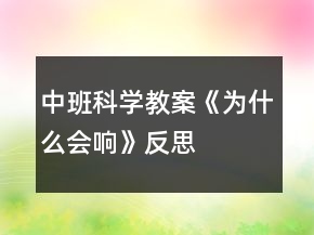 中班科学教案《为什么会响》反思