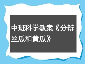 中班科学教案《分辨丝瓜和黄瓜》