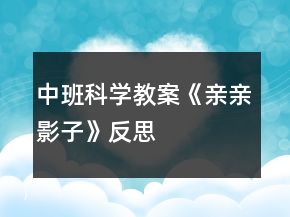 中班科学教案《亲亲影子》反思