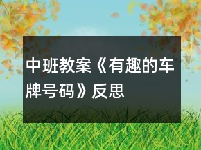 中班教案《有趣的车牌号码》反思