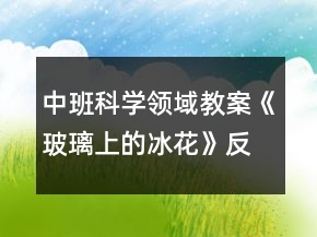 中班科学领域教案《玻璃上的冰花》反思