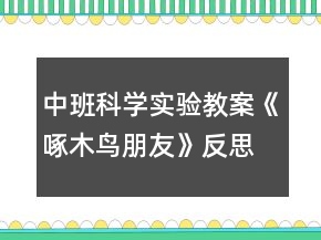 中班科学实验教案《啄木鸟朋友》反思