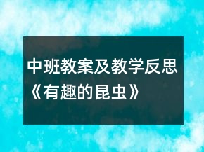 中班教案及教学反思《有趣的昆虫》