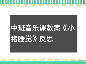 中班音乐课教案《小猪睡觉》反思