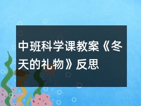 中班科学课教案《冬天的礼物》反思