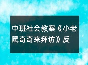 中班社会教案《小老鼠奇奇来拜访》反思