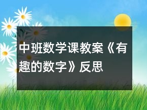 中班数学课教案《有趣的数字》反思