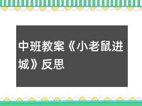 中班教案《小老鼠进城》反思