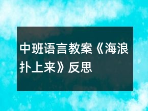 中班语言教案《海浪扑上来》反思