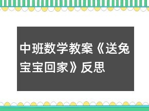 中班数学教案《送兔宝宝回家》反思