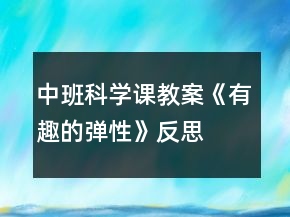中班科学课教案《有趣的弹性》反思