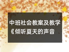 中班社会教案及教学《倾听夏天的声音》反思