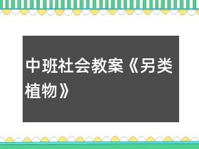 中班社会教案《另类植物》
