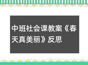 中班社会课教案《春天真美丽》反思