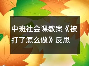中班社会课教案《被打了怎么做》反思