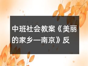 中班社会教案《美丽的家乡―南京》反思