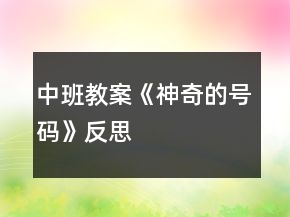 中班教案《神奇的号码》反思