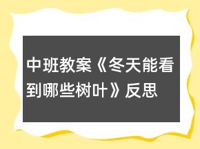 中班教案《冬天能看到哪些树叶》反思