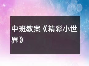 中班教案《精彩小世界》