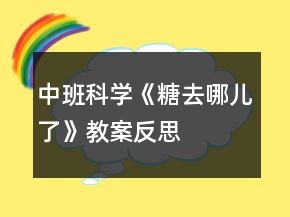 中班科学《糖去哪儿了》教案反思