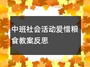 中班社会活动：爱惜粮食教案反思